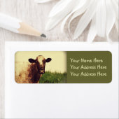 Koe foto etiket (Insitu)