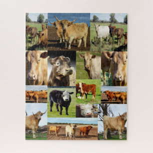 Koe fotocollage, legpuzzel