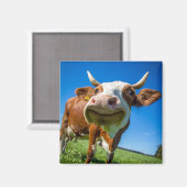 Koe glimlachen Magnet Magneet (Voorkant / Achterkant)