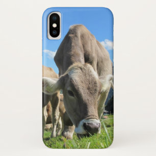 Koe Grazing iPhone X Hoesje