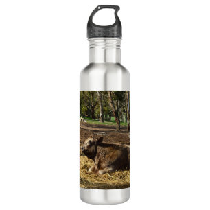 Koe Het Is Een Boerenleven, Waterfles