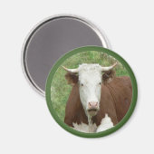 Koe in de Grass Cameo Magnet Magneet (Voorkant / Achterkant)