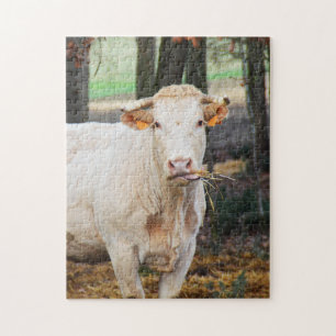 Koe in Frankrijk Legpuzzel