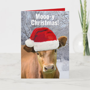 Koe in kerstmuts Mooo-ie kerst, gelukkig koe jaar Feestdagen Kaart