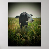 Koe in weide poster (Voorkant)