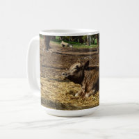 Koe is een Boerderij leven, koffie Mok