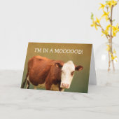 Koe Joke Happy Birthday Kaart (Gele Bloem)