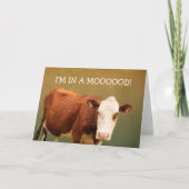 Koe Joke Happy Birthday Kaart (Voorkant)