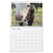 Koe Kalender 2024 (Mar 2026)