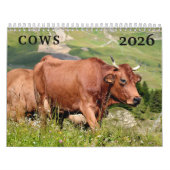 Koe-kalender Kalender (Hoes)