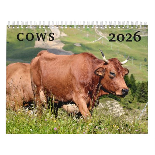 Koe-kalender Kalender (Hoes)