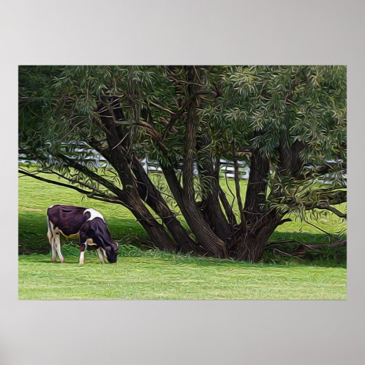 Koe land poster (Voorkant)