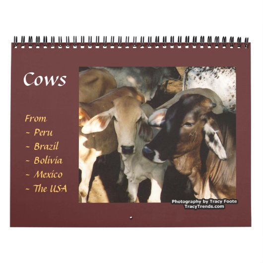 Koe landbouwhuisdieren kalender (Hoes)