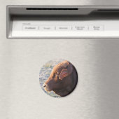 Koe magneet: De stier Magneet (Insitu (Vaatwasser))