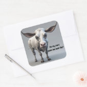 Koe Meme Sticker (Envelop)