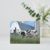 Koe met Barn Briefkaart (Staand voorkant)