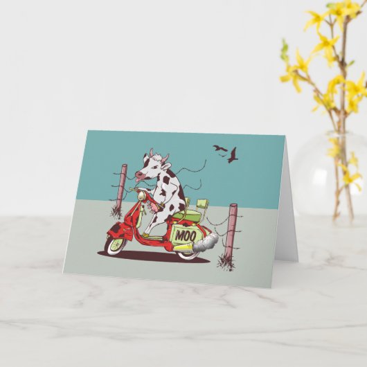 Koe met een brommer kaart (Gele Bloem)