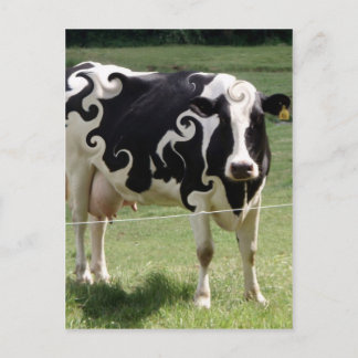 KOE MET SCHROLLEN BRIEFKAART