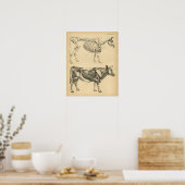 Koe Ox Skeletspier Anatomie 1908  afdrukken Poster (Keuken)