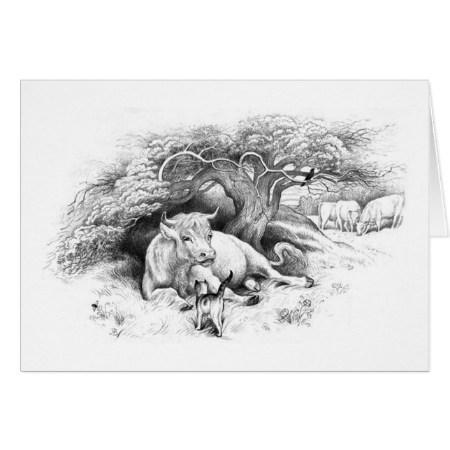 Koe Restende Kaart (Voorkant Horizontaal)