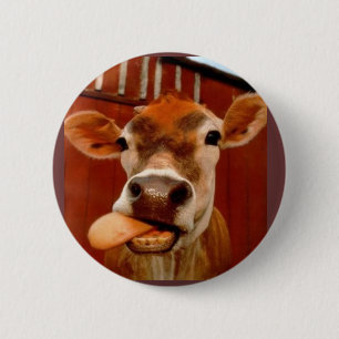 koe ronde button 5,7 cm
