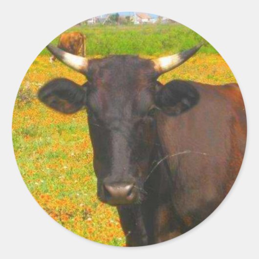 Koe Ronde Sticker (Voorkant)