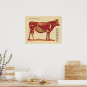 Koe Runderen Veterinaire Muscula Anatomie Grafiek Poster (Keuken)