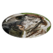 KOE SNIJPLANK (Hoek)