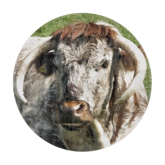 KOE SNIJPLANK (Voorkant)