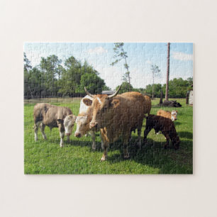Koe stier en kalveren Boerderij puzzel