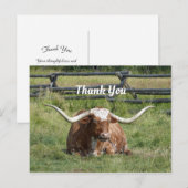 Koe Texas Longhorn Foto Bedankt Briefkaart (Voorkant / Achterkant)