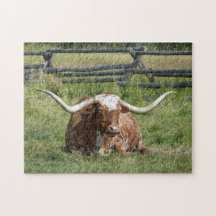 Koe Texas Longhorn Foto Legpuzzel