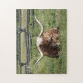 Koe Texas Longhorn Foto Legpuzzel (Verticaal)