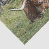 Koe Texas Longhorn Foto Tissuepapier (Detail)