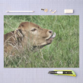 KOE TISSUEPAPIER (Craft)