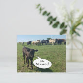 Koe van adreswijziging We hebben ons verplaatst Briefkaart (Staand voorkant)