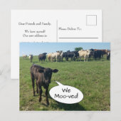 Koe van adreswijziging We hebben ons verplaatst Briefkaart (Voorkant / Achterkant)