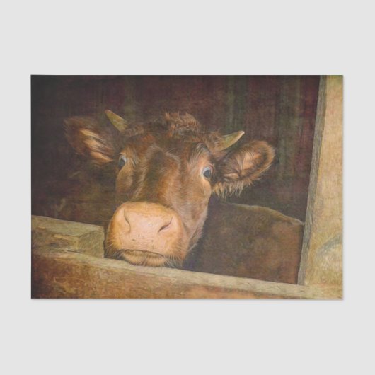 Koe van de textielsector in barn - rustic Tissuepapier (Voorkant)