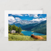 Koe van het hoogland van het gebergte bedankkaart (Voorkant / Achterkant)