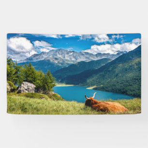 Koe van het hoogland van het gebergte spandoek