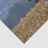 Koe van zwarte en witte kleur, vers geploegd veld tissuepapier (Detail)