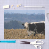 Koe van zwarte en witte kleur, vers geploegd veld tissuepapier (Craft)