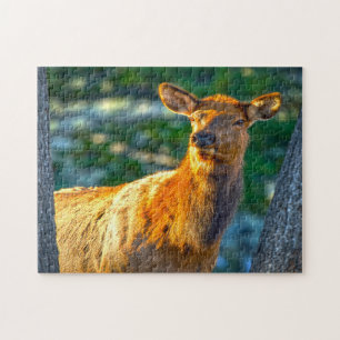 Koe-wapiti Montana. Legpuzzel