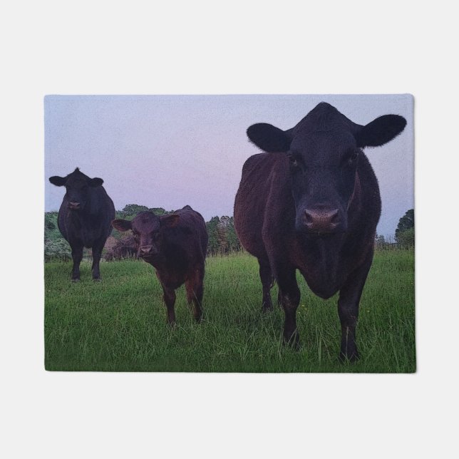 Koe Yup Cow! Welkom deur Deurmat (Voorkant)