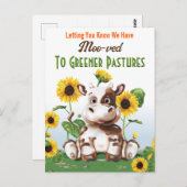 Koe Zonnebloem Wijziging adres Briefkaart (Voorkant / Achterkant)