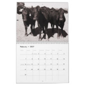 Koeien, A 2016-agenda Kalender (Feb 2027)