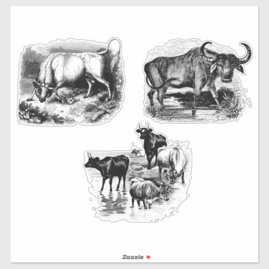 Koeien Bull Water Buffalo  Dierkunst Sticker (Vel)