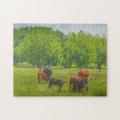 Koeien Cattle Art Texas Boerderij Pasture Puzzel Legpuzzel (Horizontaal)