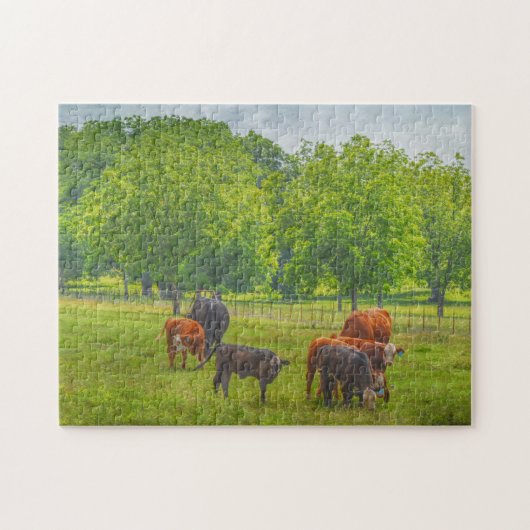 Koeien Cattle Art Texas Boerderij Pasture Puzzel Legpuzzel (Horizontaal)