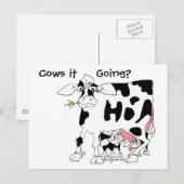 Koeien die gaan? briefkaart (Voorkant / Achterkant)